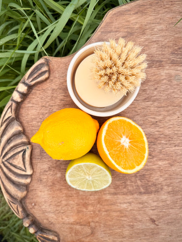 Dish Soap Bar - Citrus