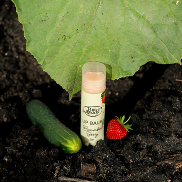 Lip Balm - Cucumber Berry