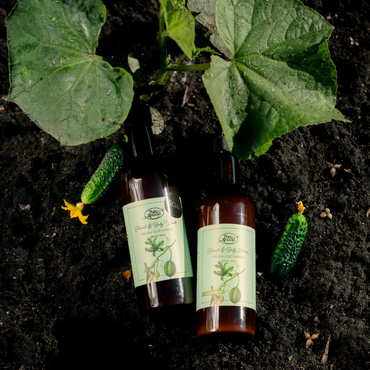 Hand & Body Lotion - Fresh Cucumber
