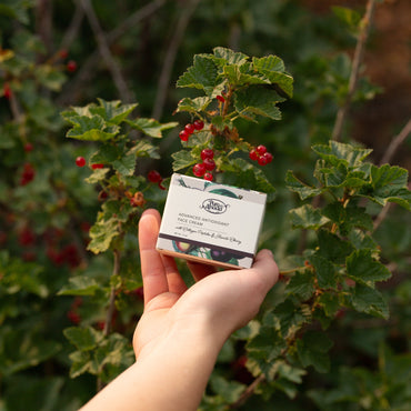 Advanced Antioxidant Face Cream