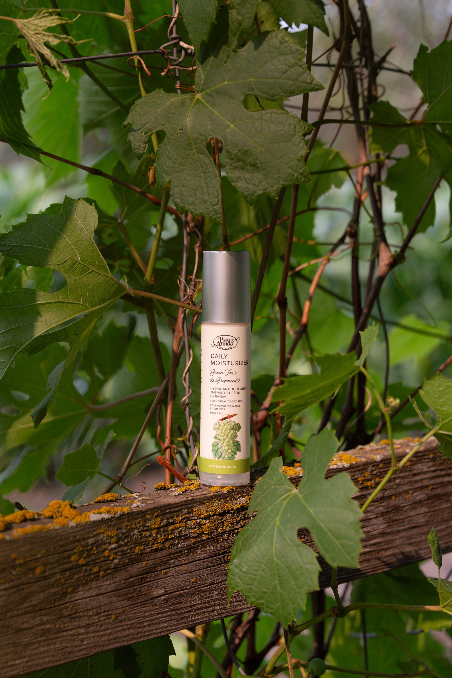 Daily Moisturizer - Green Tea & Grapeseed