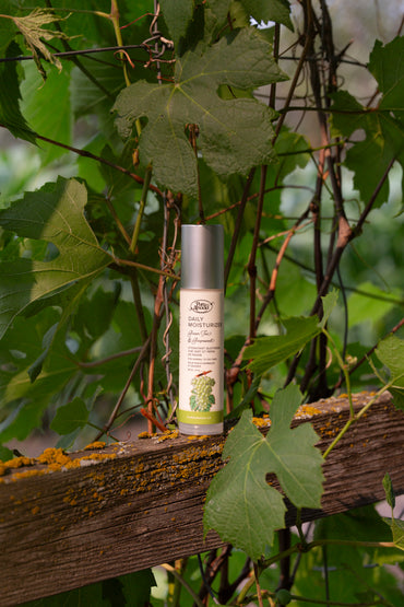 Daily Moisturizer - Green Tea & Grapeseed