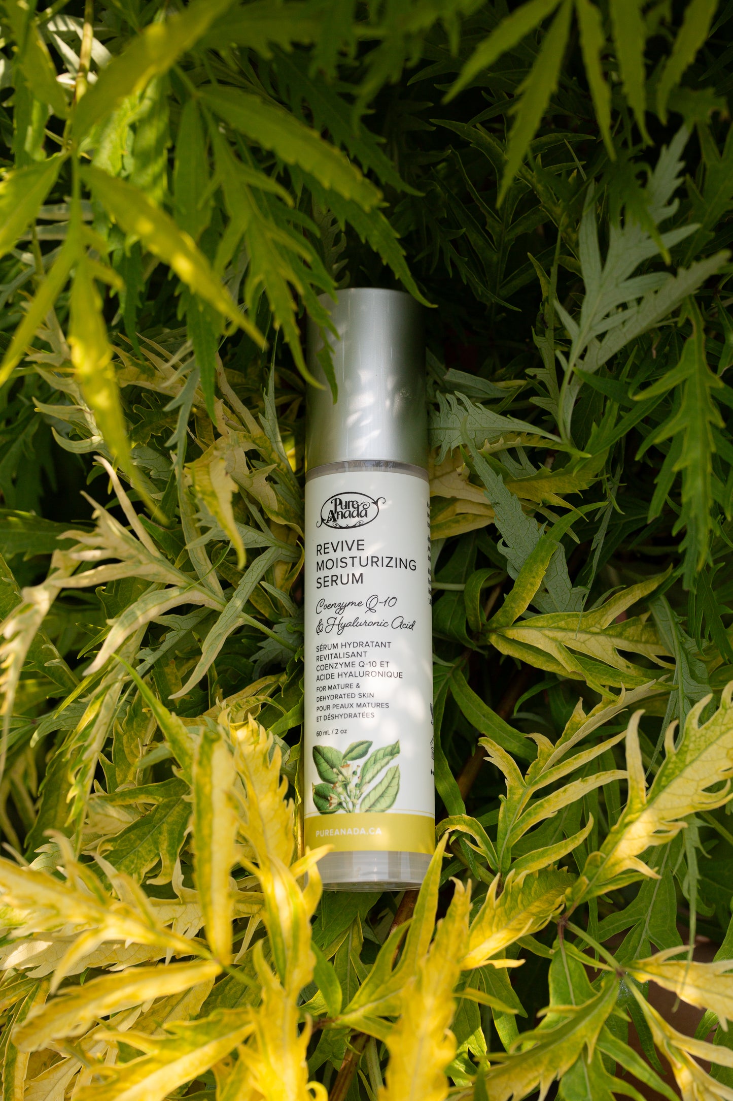 Revive Moisturizing Serum - Coenzyme Q-10 & Hyaluronic Acid