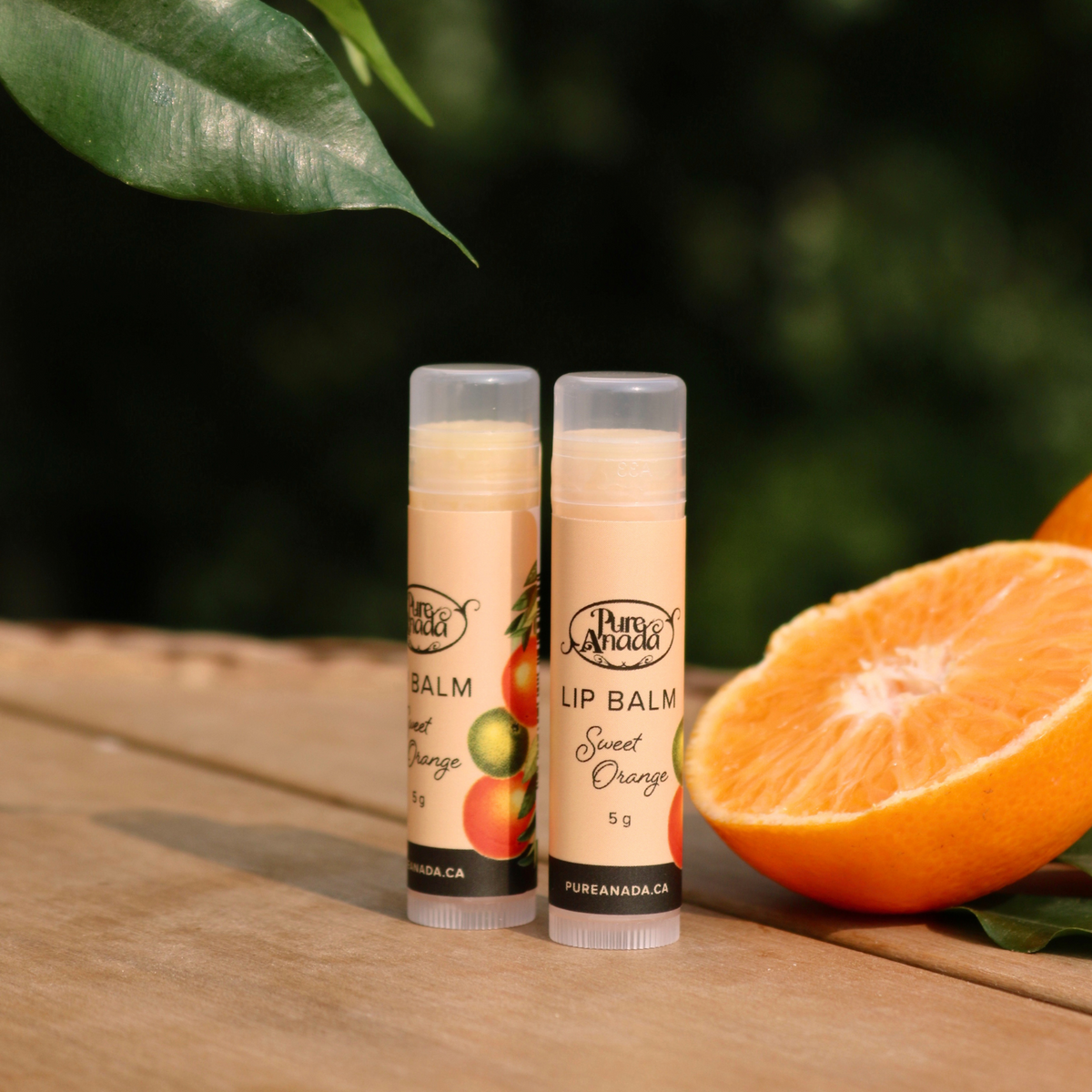 Lip Balm - Sweet Orange
