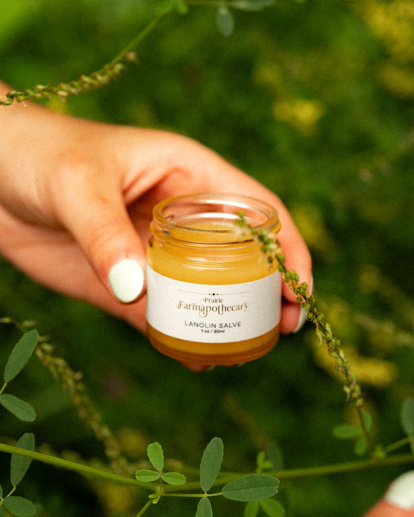 Lanolin Salve - Natural