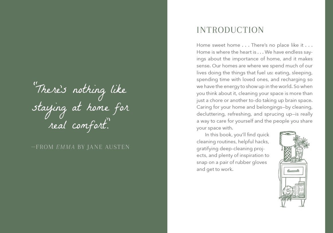 The Little Book Of Cleaning Tips