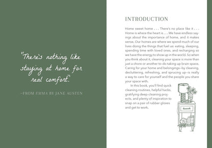 The Little Book Of Cleaning Tips