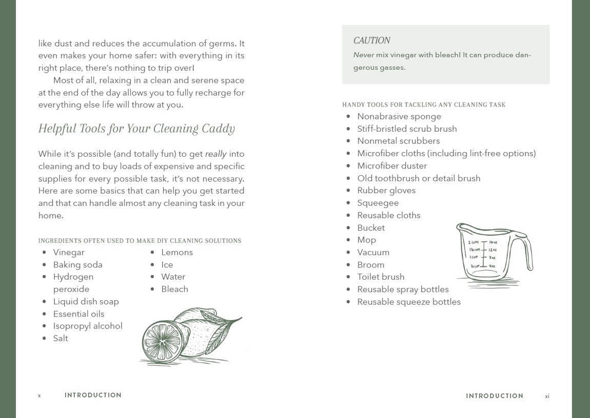The Little Book Of Cleaning Tips