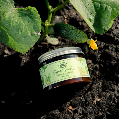 Sugar Scrub - Fresh Cucumber