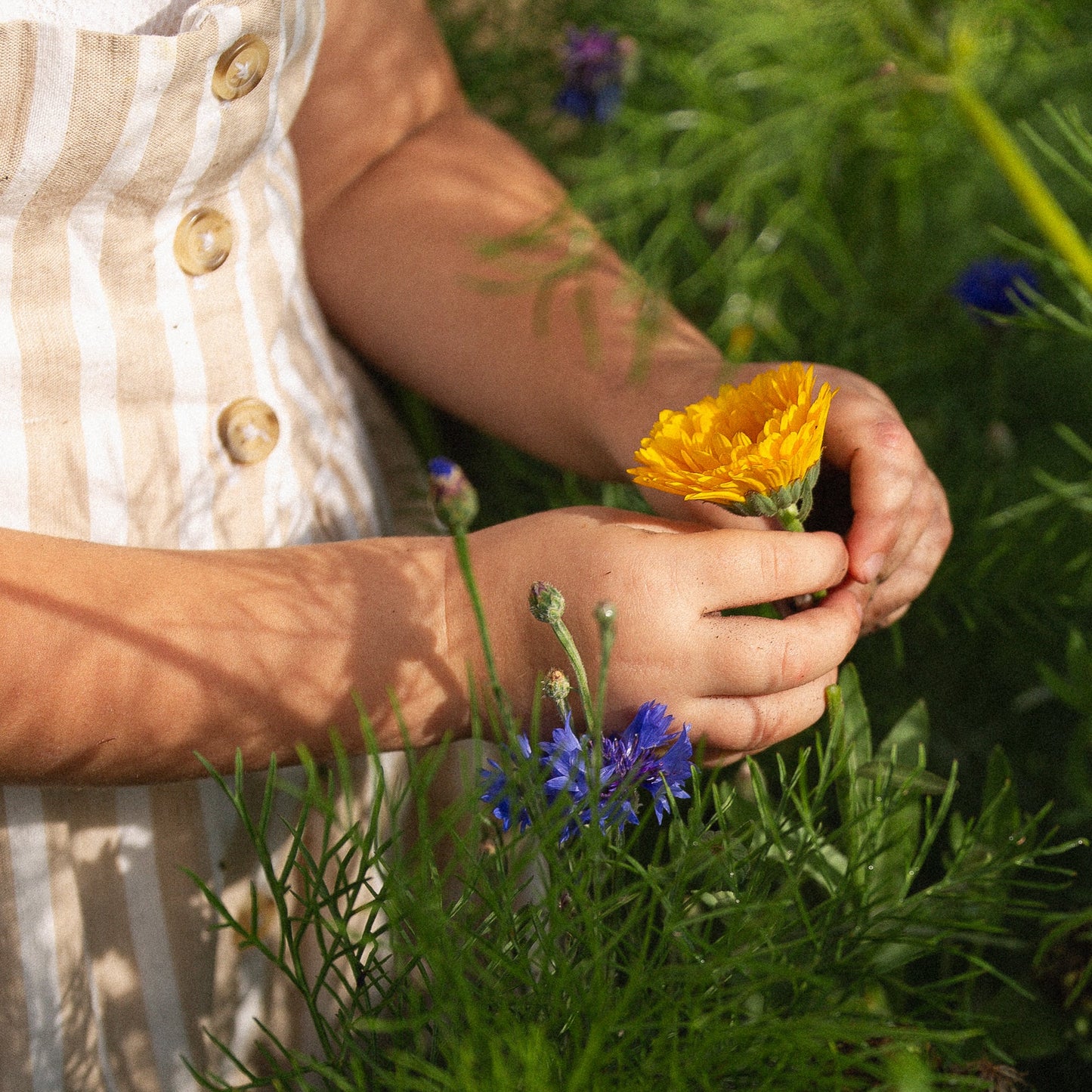 Deluxe BLESS Home Bundle