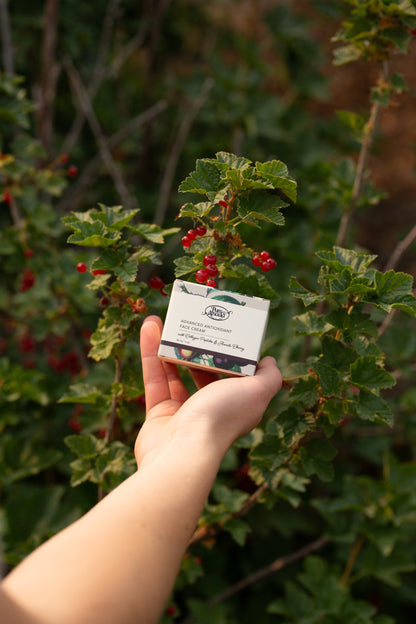 Advanced Antioxidant Face Cream