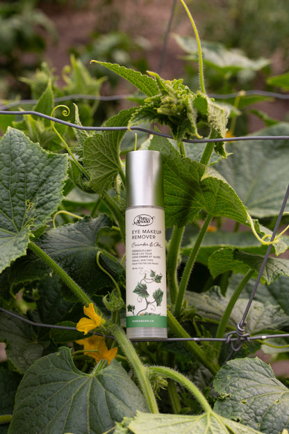 Eye Makeup Remover - Cucumber & Aloe