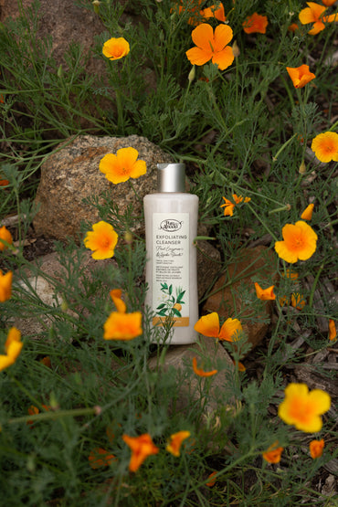 Cleanser - Exfoliating Fruit Enzyme & Jojoba Beads