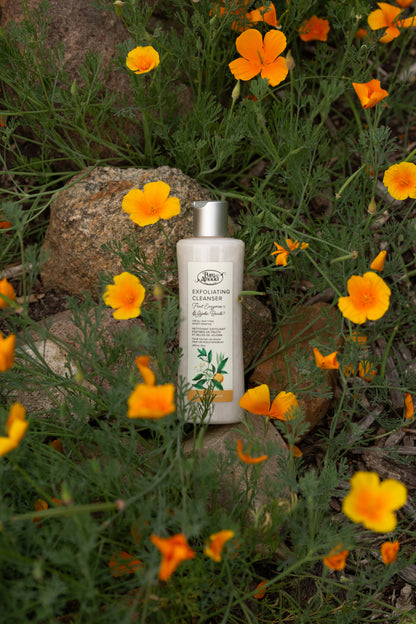 Cleanser - Exfoliating Fruit Enzyme & Jojoba Beads