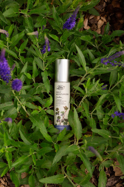 Daily Moisturizer - Scentless