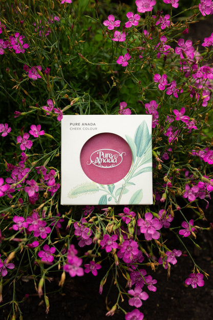 Pressed Cheek Colour - Strawberry Field