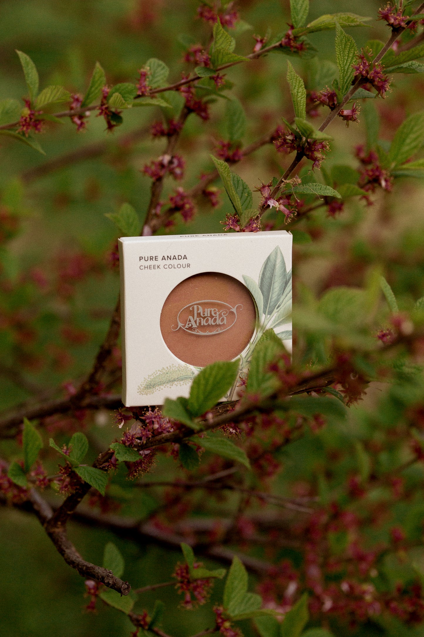 Pressed Cheek Colour - Tender Twig