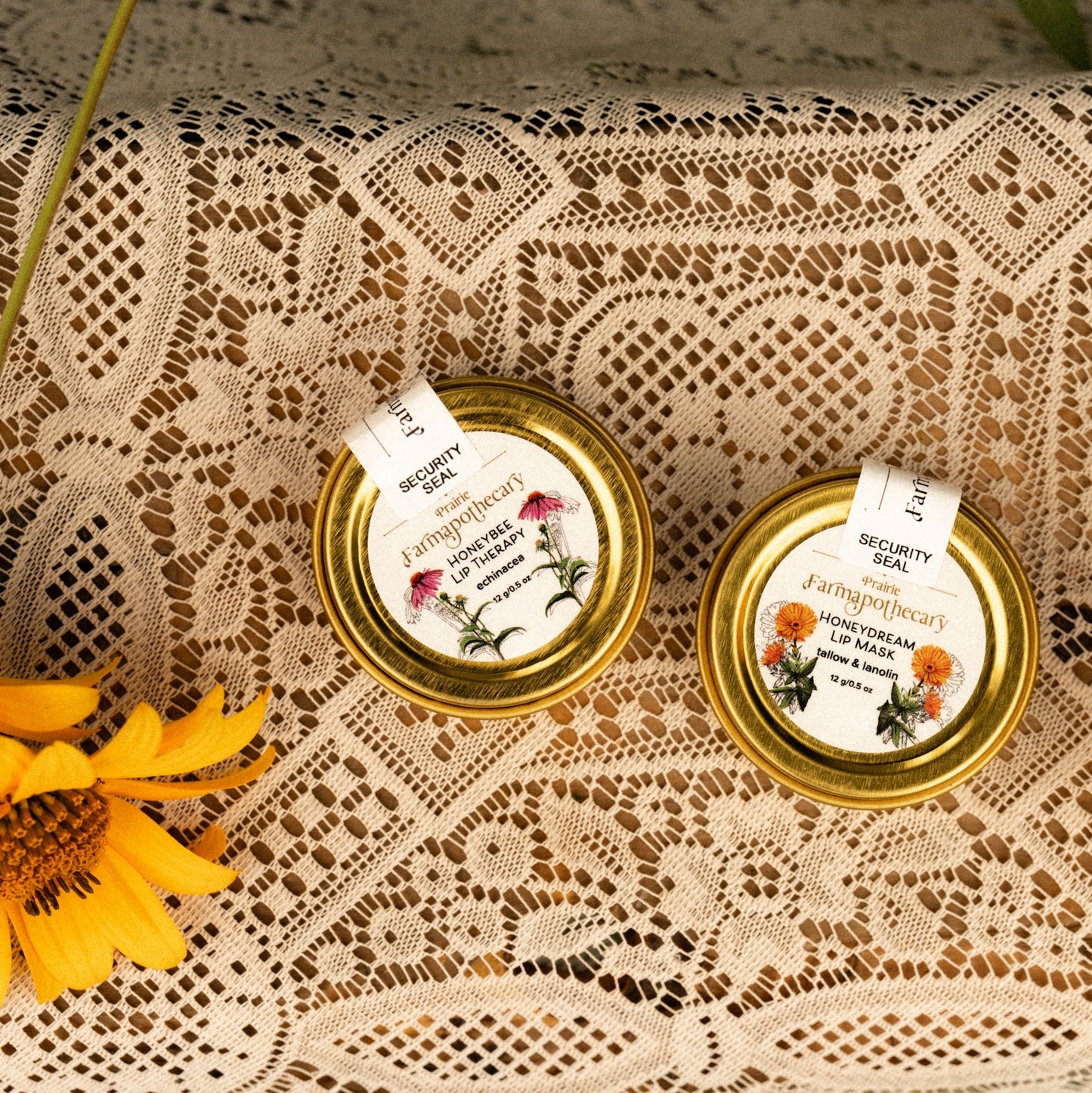 Honeybee Lip Therapy (Echinacea)