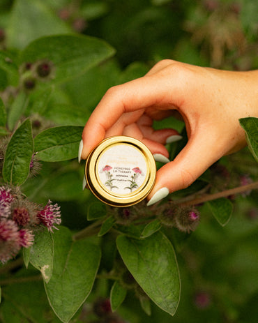 Honeybee Lip Therapy (Echinacea)