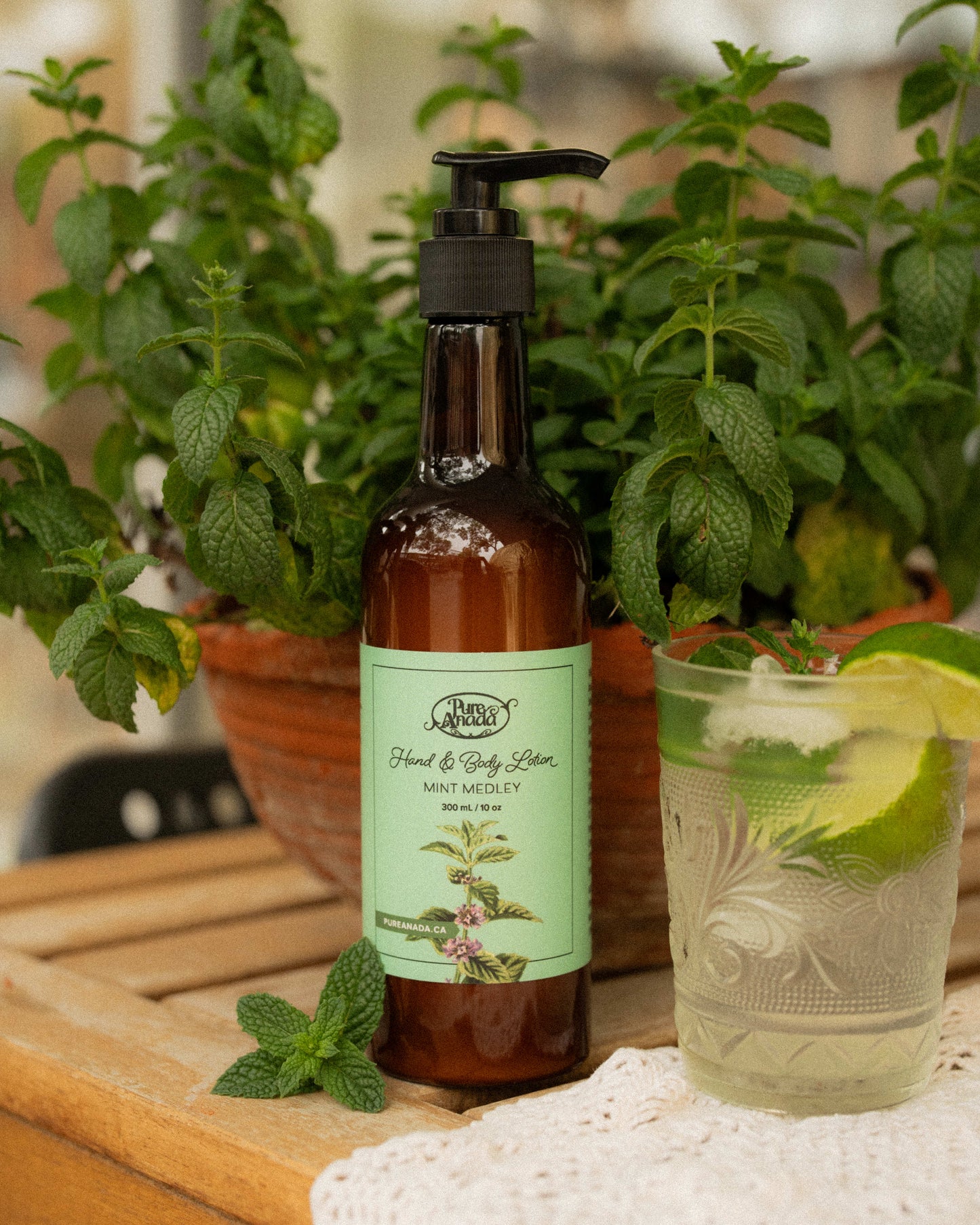 Hand & Body Lotion - Mint Medley