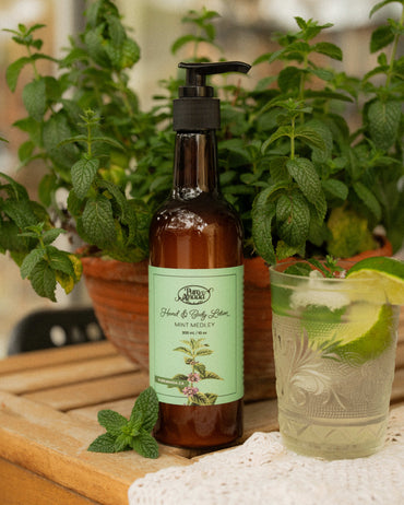 Hand & Body Lotion - Mint Medley