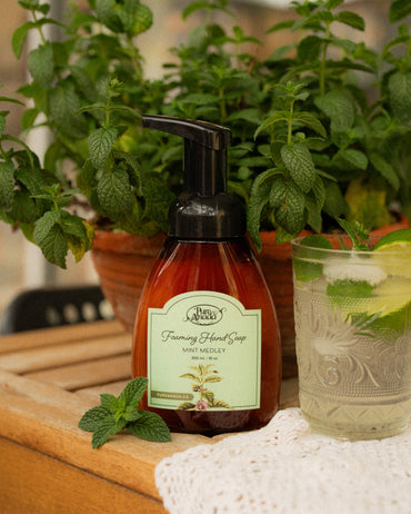 Foaming Hand Soap - Mint Medley