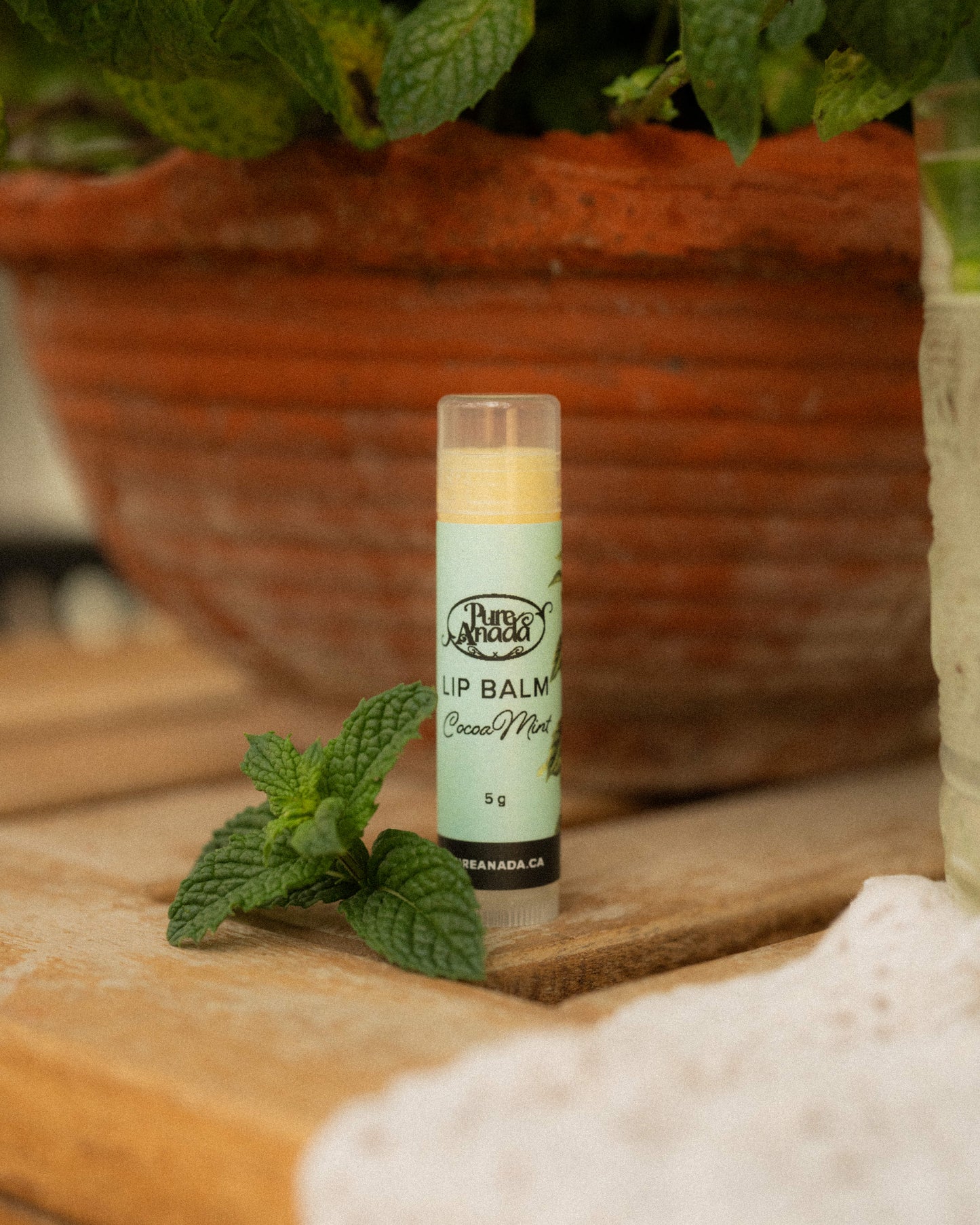 Lip Balm - Cocoa Mint