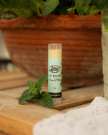 Lip Balm - Cocoa Mint